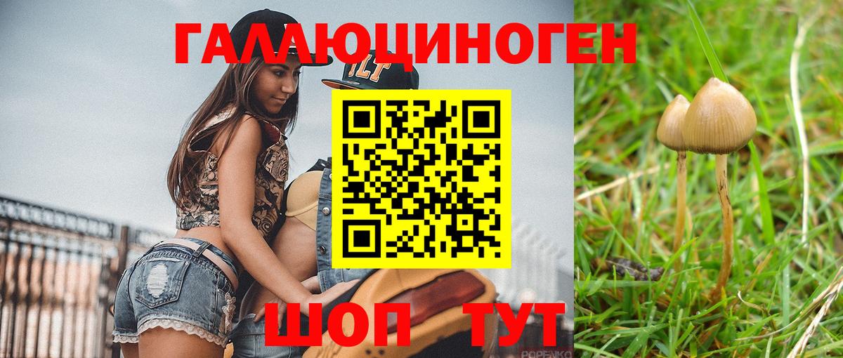 Приморско-Ахтарск  Галлюциногенные грибы мицелий  Псилоцибиновые грибы Psilocybe  Вход с VPN 
